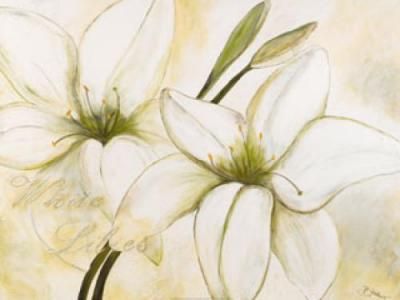 heidi-gerstner-white-lilies-22440.jpg